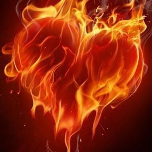 Meet your Posher, Lexi